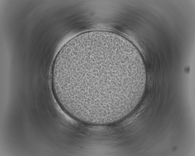 X0000094821387200712141635