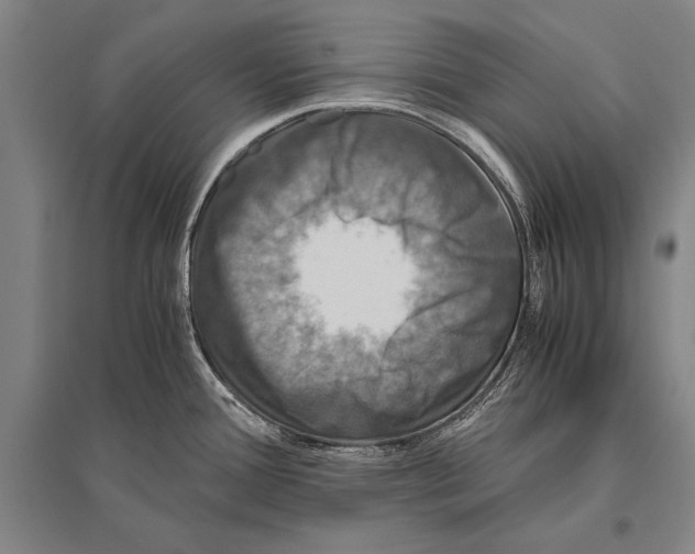 X0000094821388200712141635