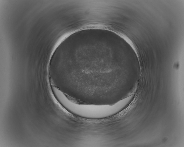 X0000094821389200712141635