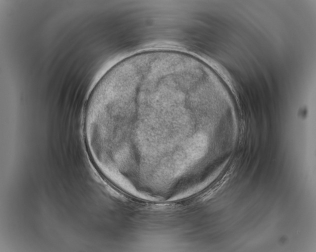 X0000094821390200712141635