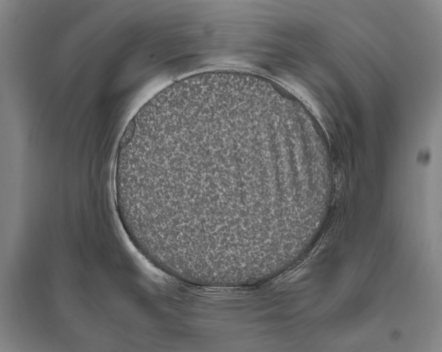 X0000094821391200712141635