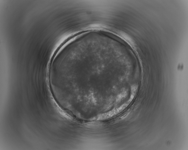 X0000094821392200712141635