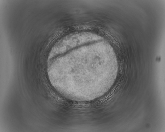 X0000094821393200712141634