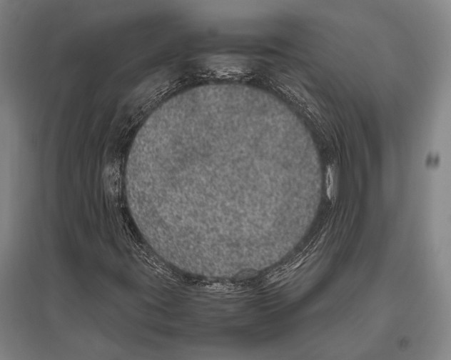 X0000094821395200712141634