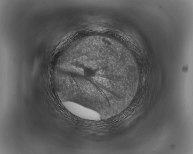 X0000094821397200712141634