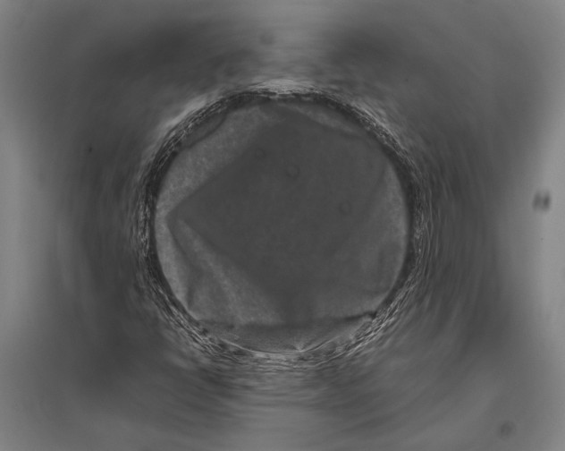 X0000094821398200712141634