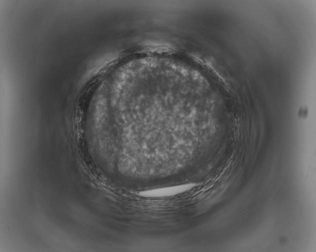 X0000094821399200712141634