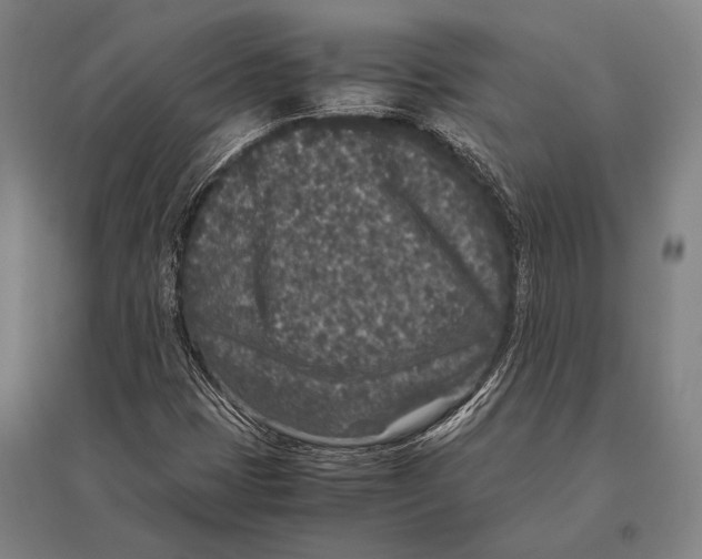 X0000094821401200712141634