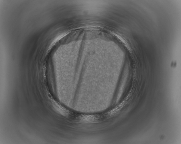 X0000094821402200712141634