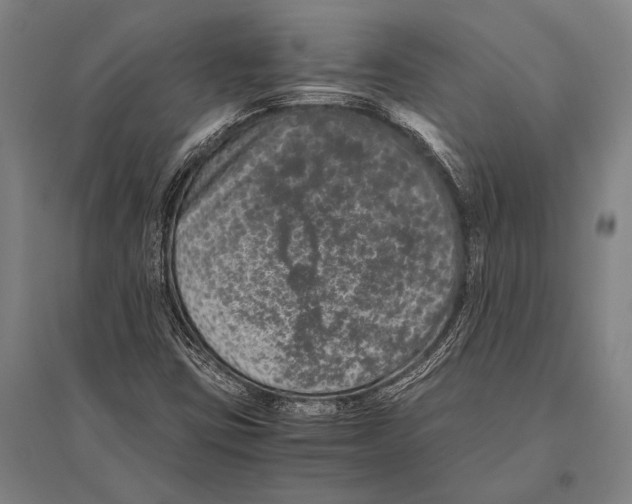 X0000094821403200712141634