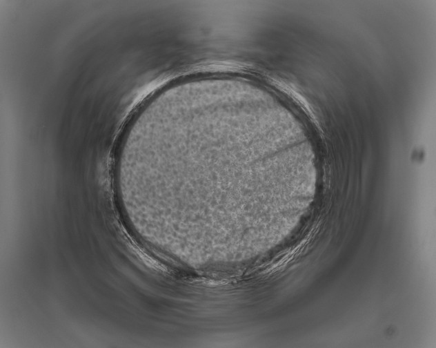 X0000094821404200712141634