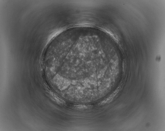 X0000094821405200712141634