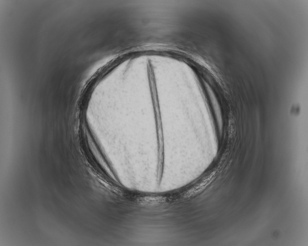 X0000094821406200712141634