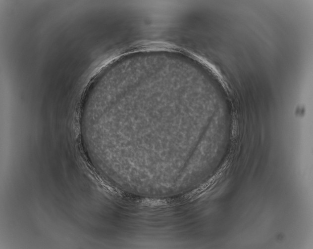 X0000094821407200712141634