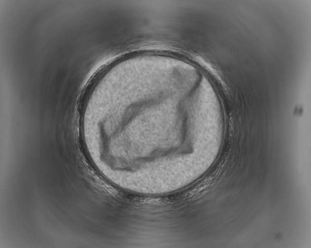 X0000094821408200712141634