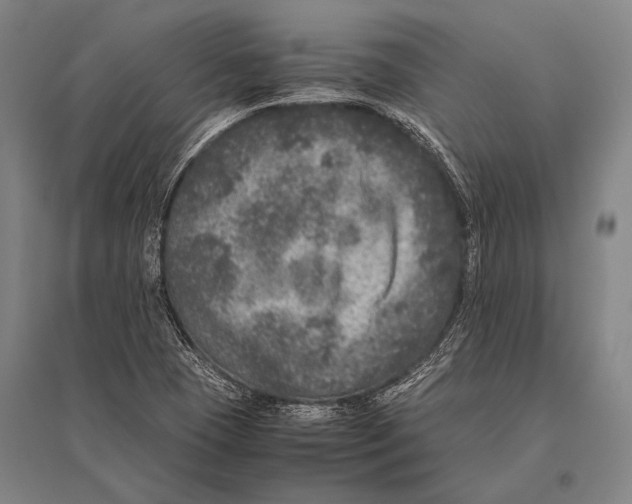 X0000094821409200712141634