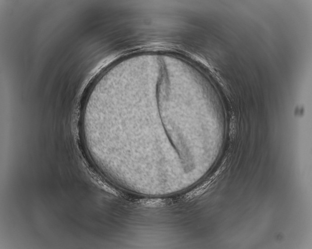 X0000094821410200712141634