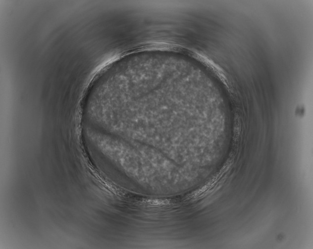 X0000094821411200712141635