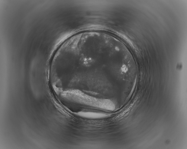 X0000094821413200712141635