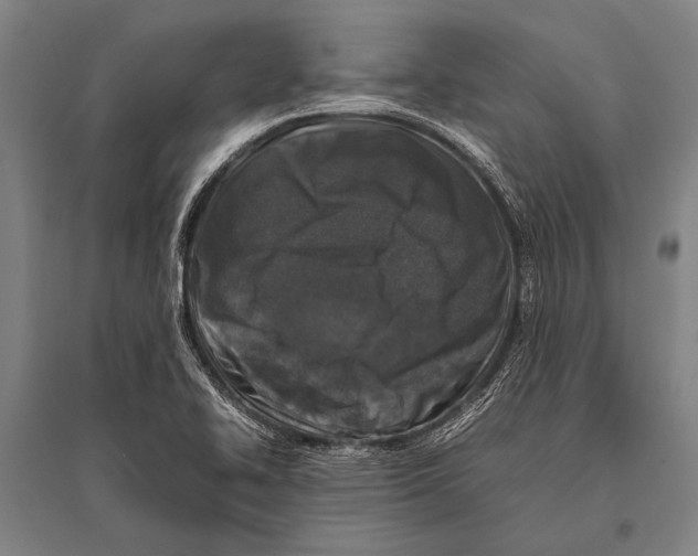 X0000094821414200712141635