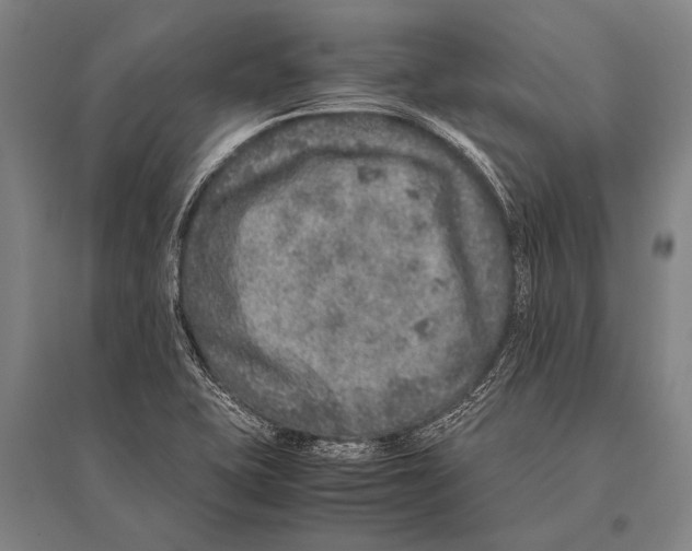 X0000094821415200712141635