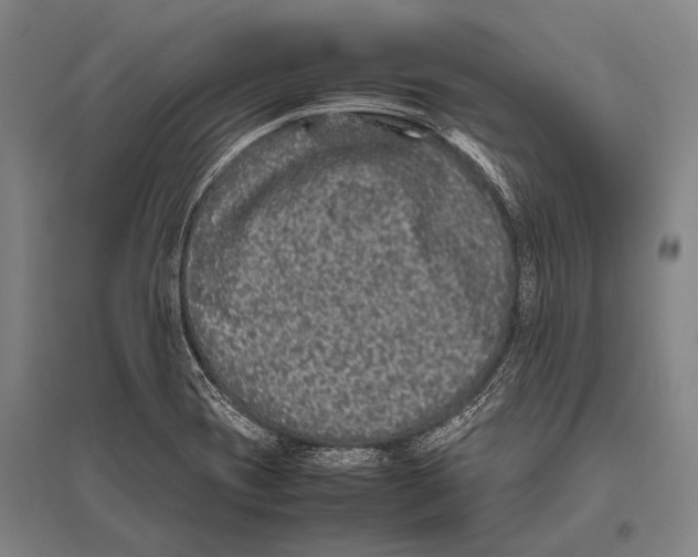 X0000094821417200712141635