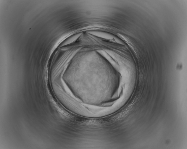 X0000094821418200712141635