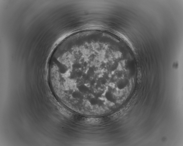 X0000094821419200712141635