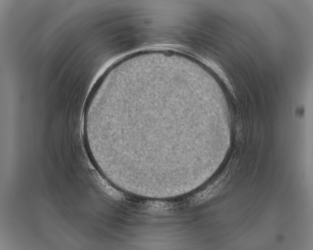 X0000094821420200712141635