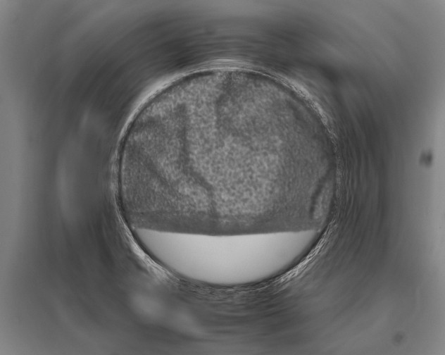 X0000094821421200712141635