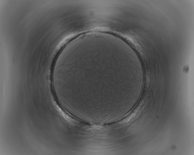 X0000094821422200712141635