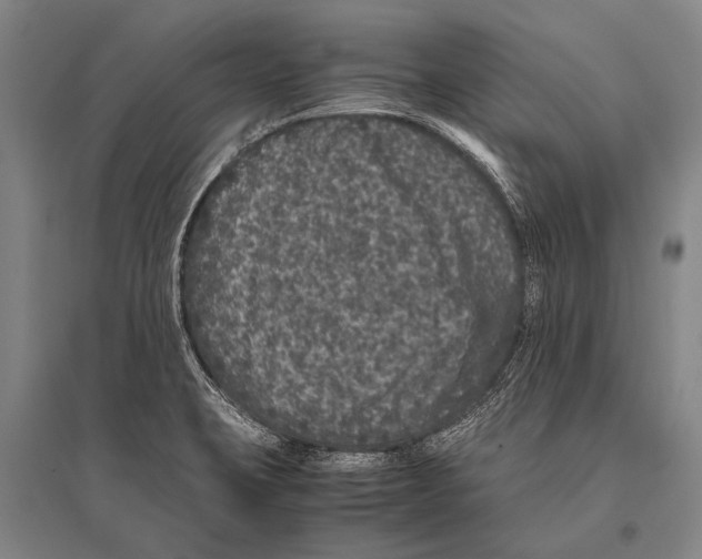 X0000094821423200712141635