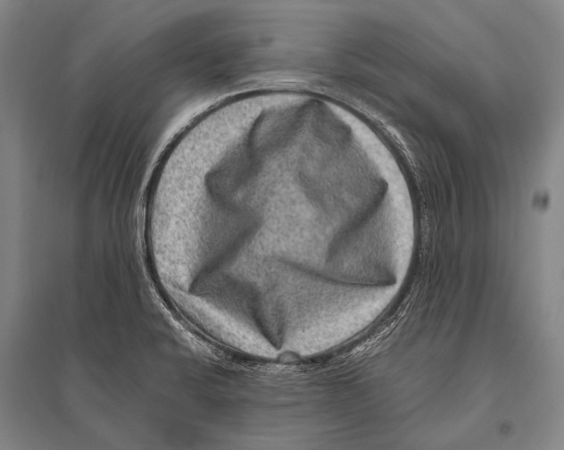 X0000094821424200712141635