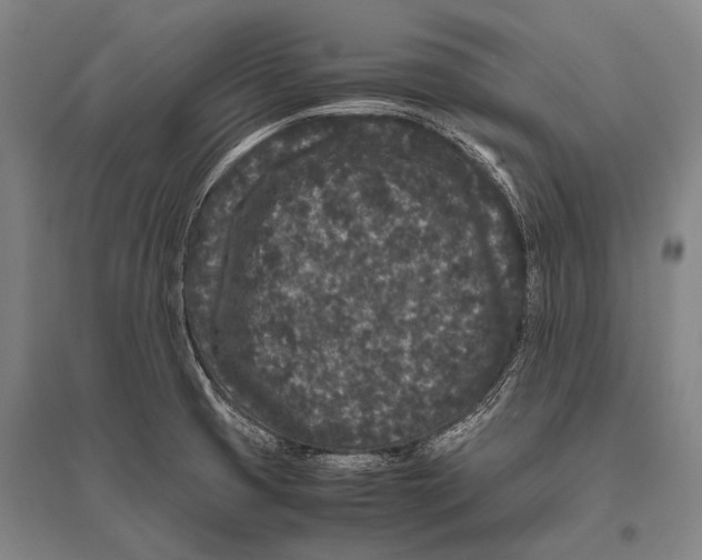 X0000094821425200712141635