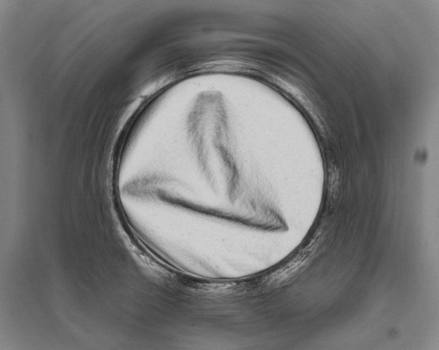 X0000094821426200712141635