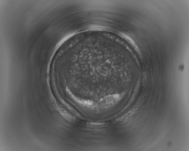 X0000094821427200712141635