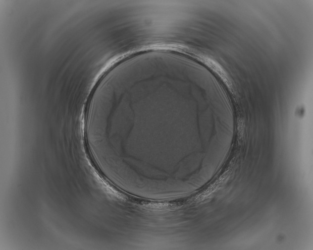 X0000094821428200712141635