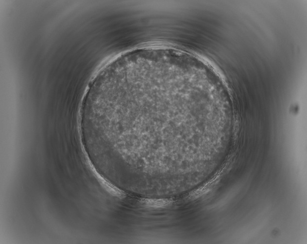 X0000094821429200712141635