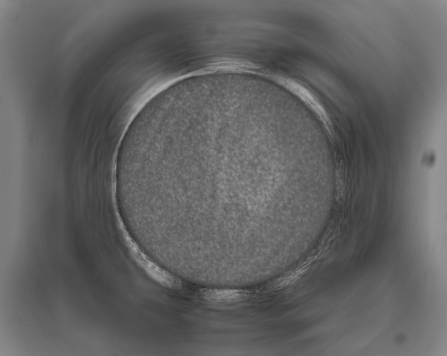 X0000094821431200712141635