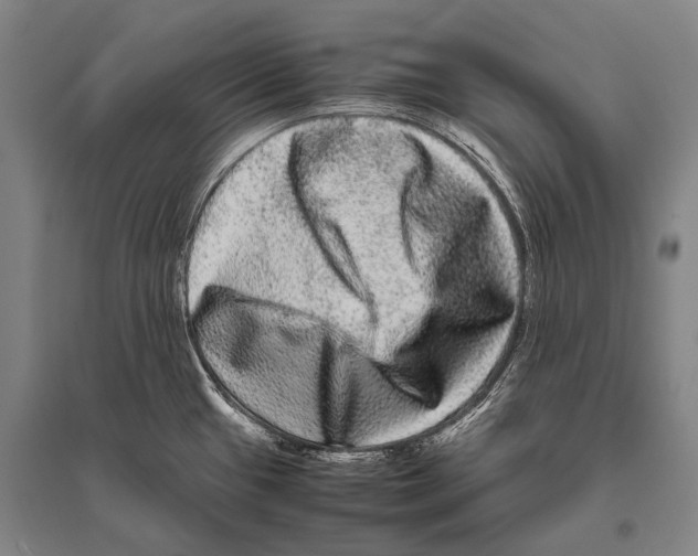 X0000094821433200712141635