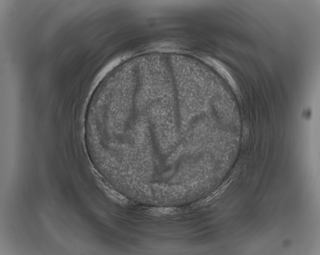 X0000094821435200712141635