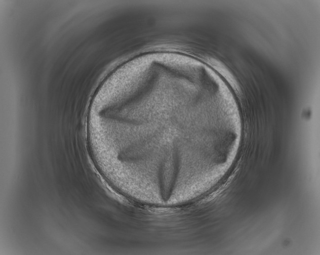 X0000094821436200712141635