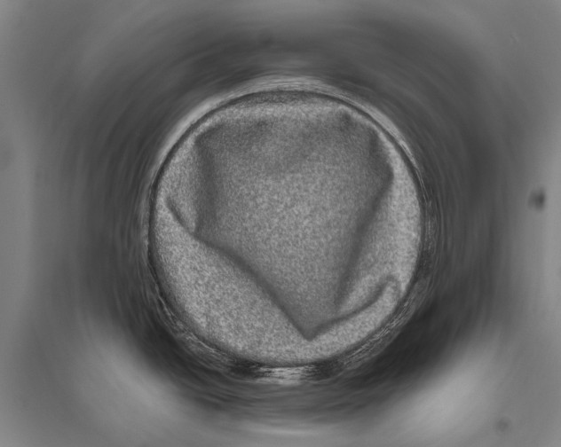 X0000094821438200712141635