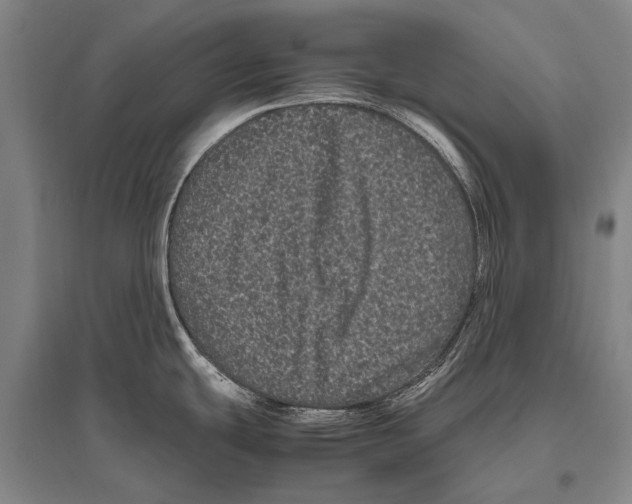 X0000094821439200712141635