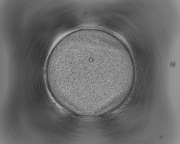 X0000094821440200712141635