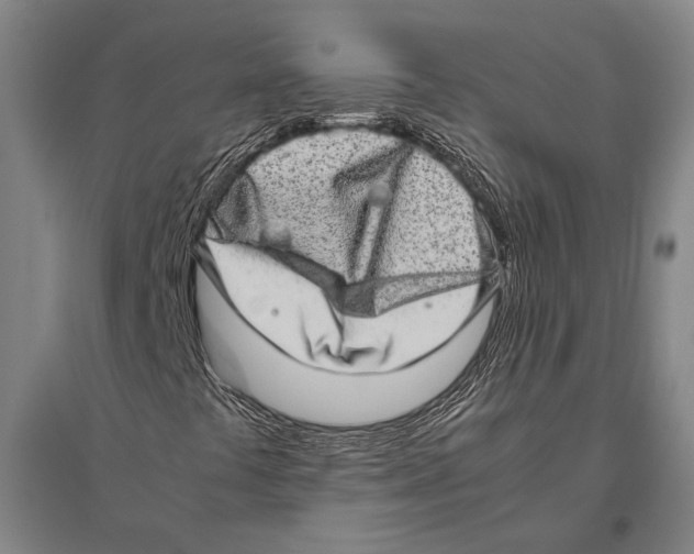 X0000094821441200712141634