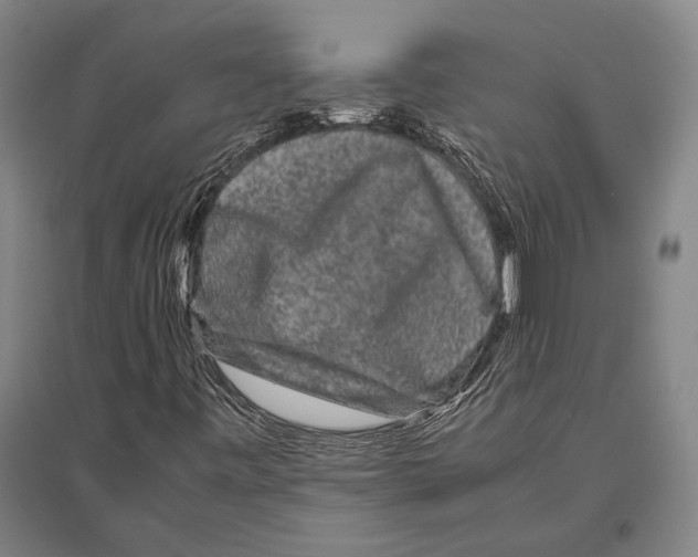 X0000094821443200712141634