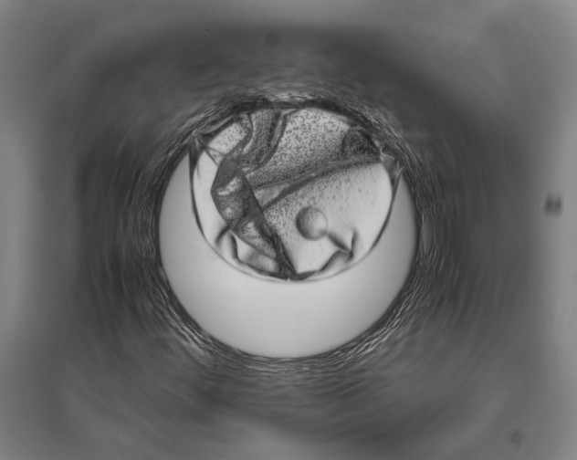 X0000094821444200712141634