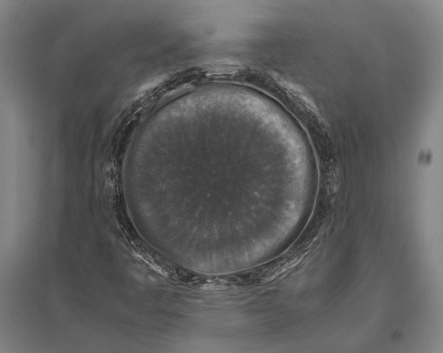 X0000094821445200712141634