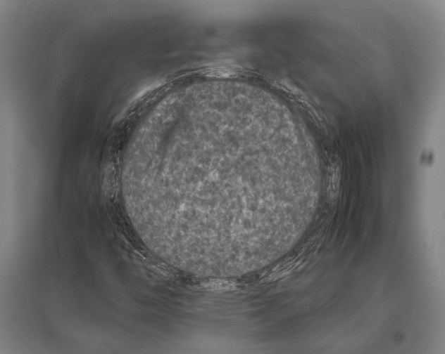 X0000094821446200712141634